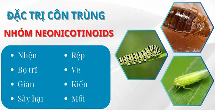Các hoạt chất trị bọ phấn trắng phổ biến và cách chọn đúng