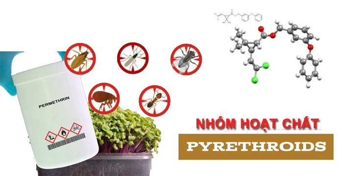 Các hoạt chất trị bọ phấn trắng phổ biến và cách chọn đúng