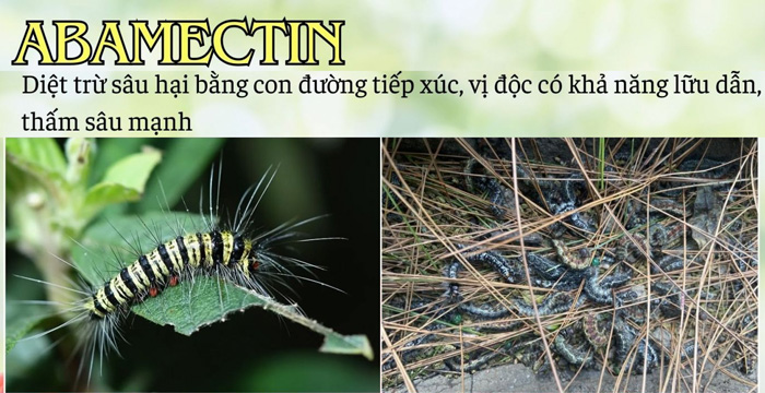 Các hoạt chất trị bọ phấn trắng phổ biến và cách chọn đúng