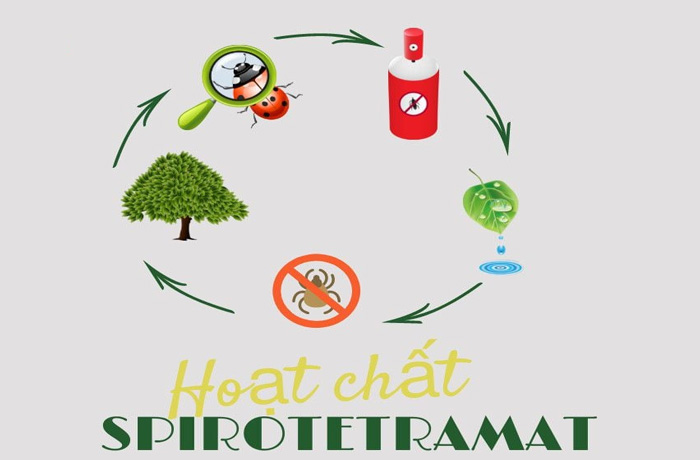 Các hoạt chất trị bọ phấn trắng phổ biến và cách chọn đúng