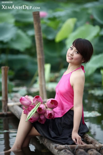 Thuyết minh về Hoa Sen (Bài văn giàu cảm xúc)  - BOOKING TOUR