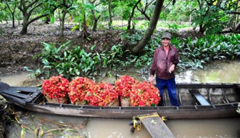 Du lịch miệt vườn thứ thiệt - BOOKING TOUR